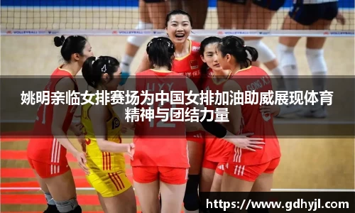 姚明亲临女排赛场为中国女排加油助威展现体育精神与团结力量